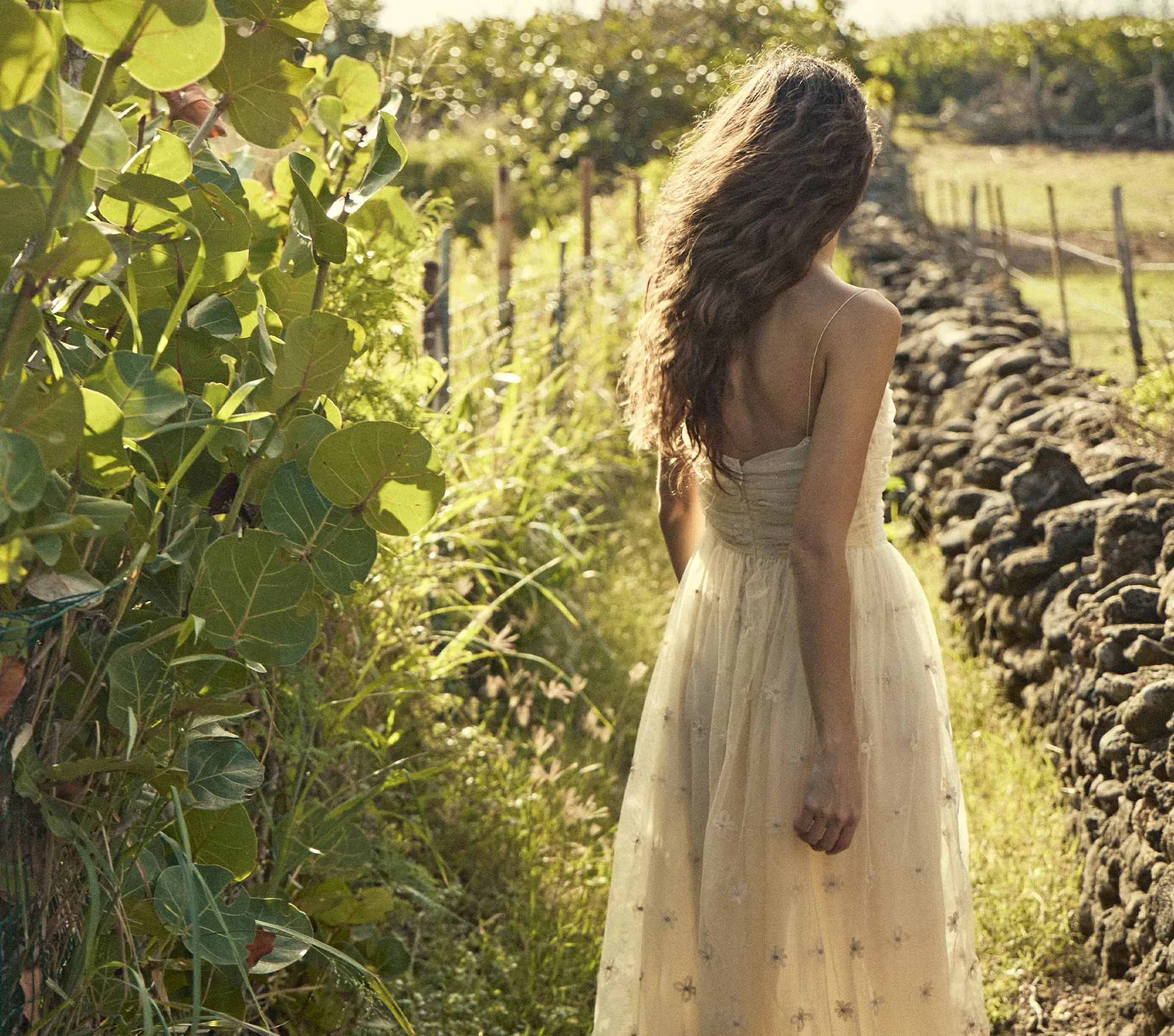 HMD -- CARDAMINE DRESS -- BIRCH sold by Doen product image thumbnail 4