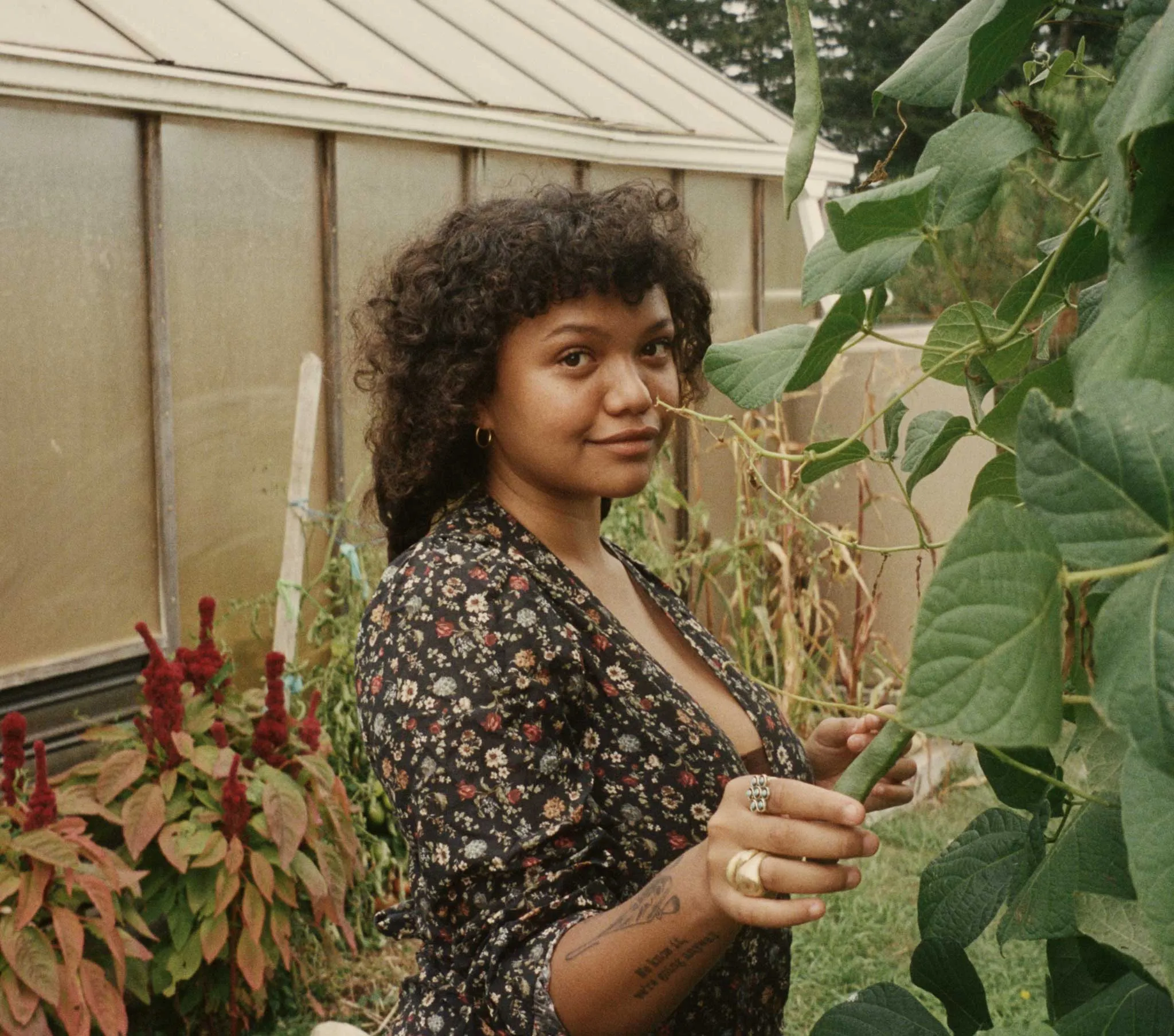 HMD -- CHARLESTON DRESS -- CAMPAGNE FLORAL sold by Doen product image thumbnail 5