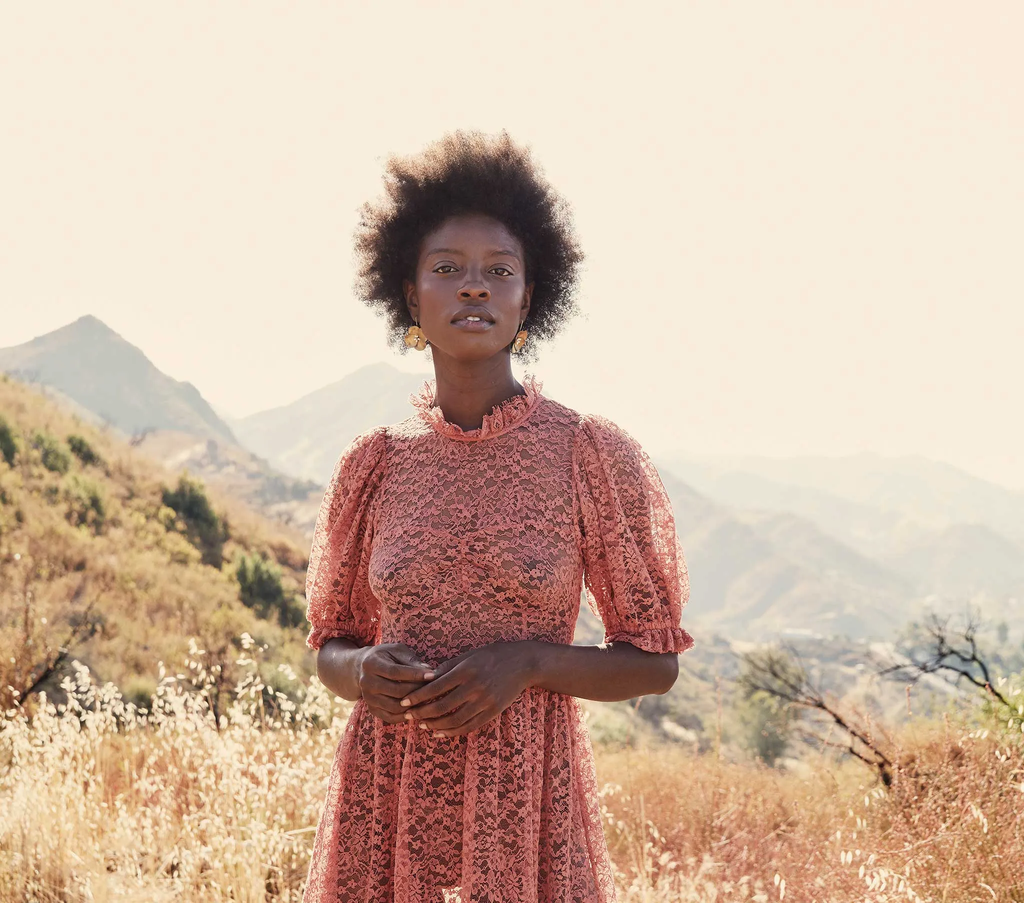 HMD -- FEATHER DRESS -- DARK ROSEWOOD sold by Doen product image thumbnail 5