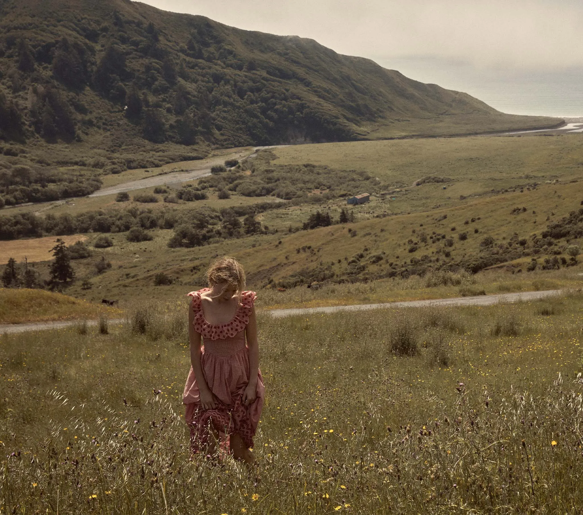 HMD -- LIESEL DRESS -- CERISE PARIS GINGHAM sold by Doen product image thumbnail 2