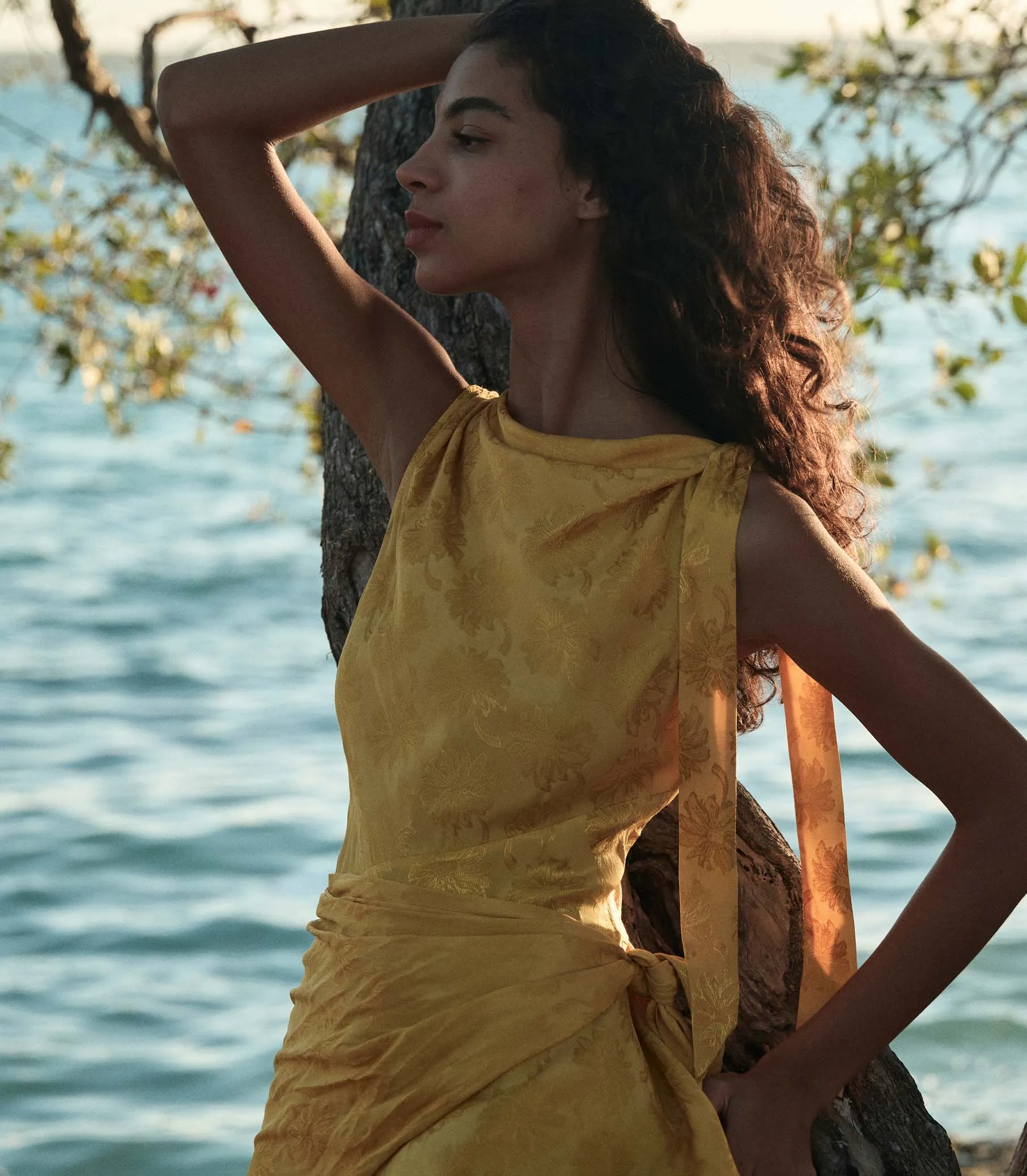 MARCELLA DRESS -- GILDED MARGUERITE JOLIE sold by Doen product image thumbnail 3