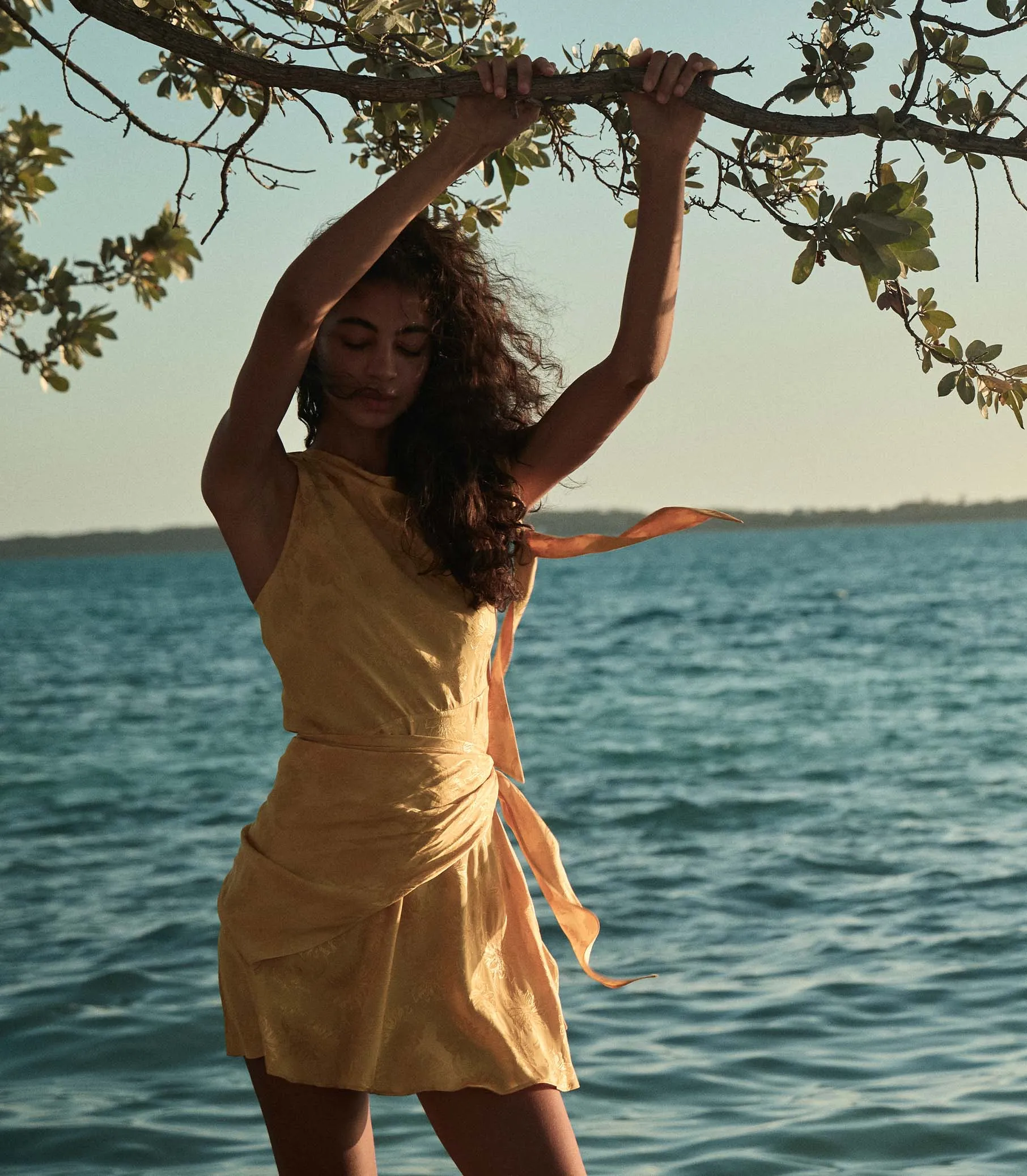 MARCELLA DRESS -- GILDED MARGUERITE JOLIE sold by Doen product image thumbnail 4