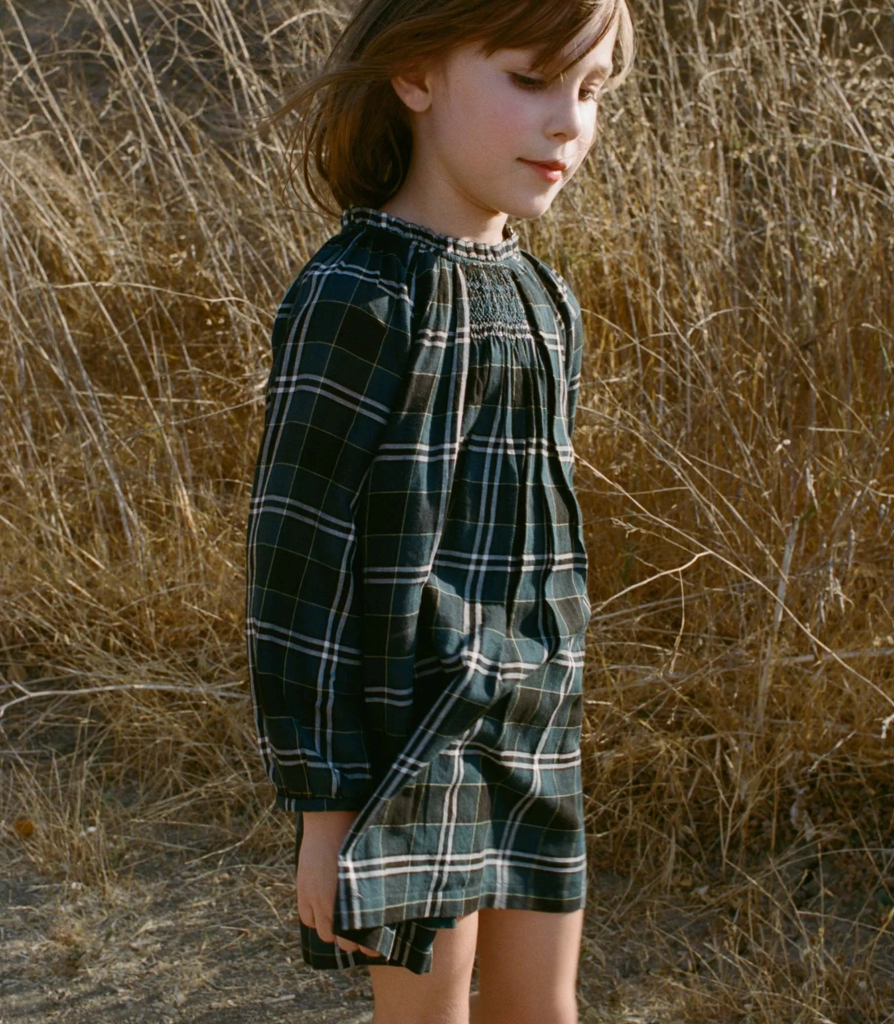 LUCY DRESS -- AMBLE PLAID sold by Doen product image thumbnail 4