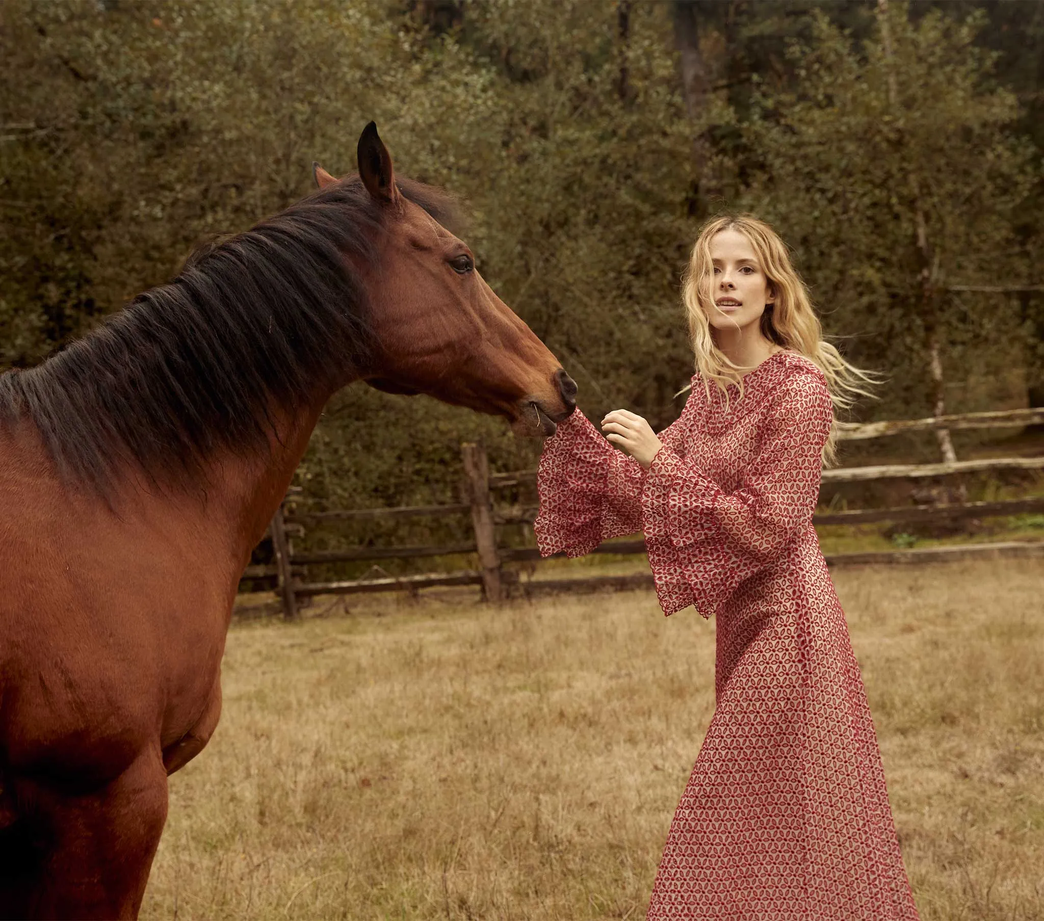 HMD -- CONSTELLATION DRESS -- POPPY sold by Doen product image thumbnail 3