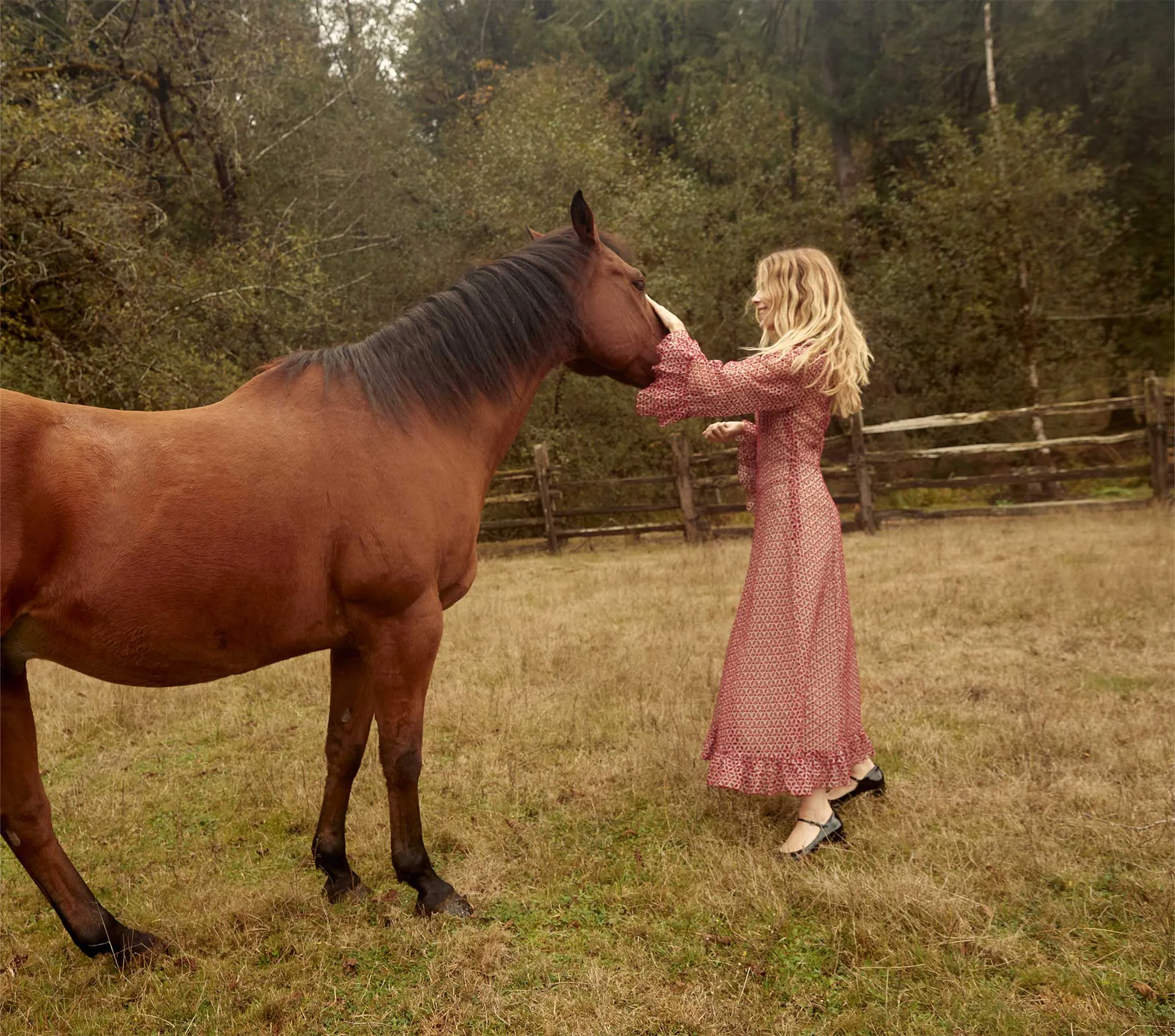 HMD -- CONSTELLATION DRESS -- POPPY sold by Doen product image thumbnail 4