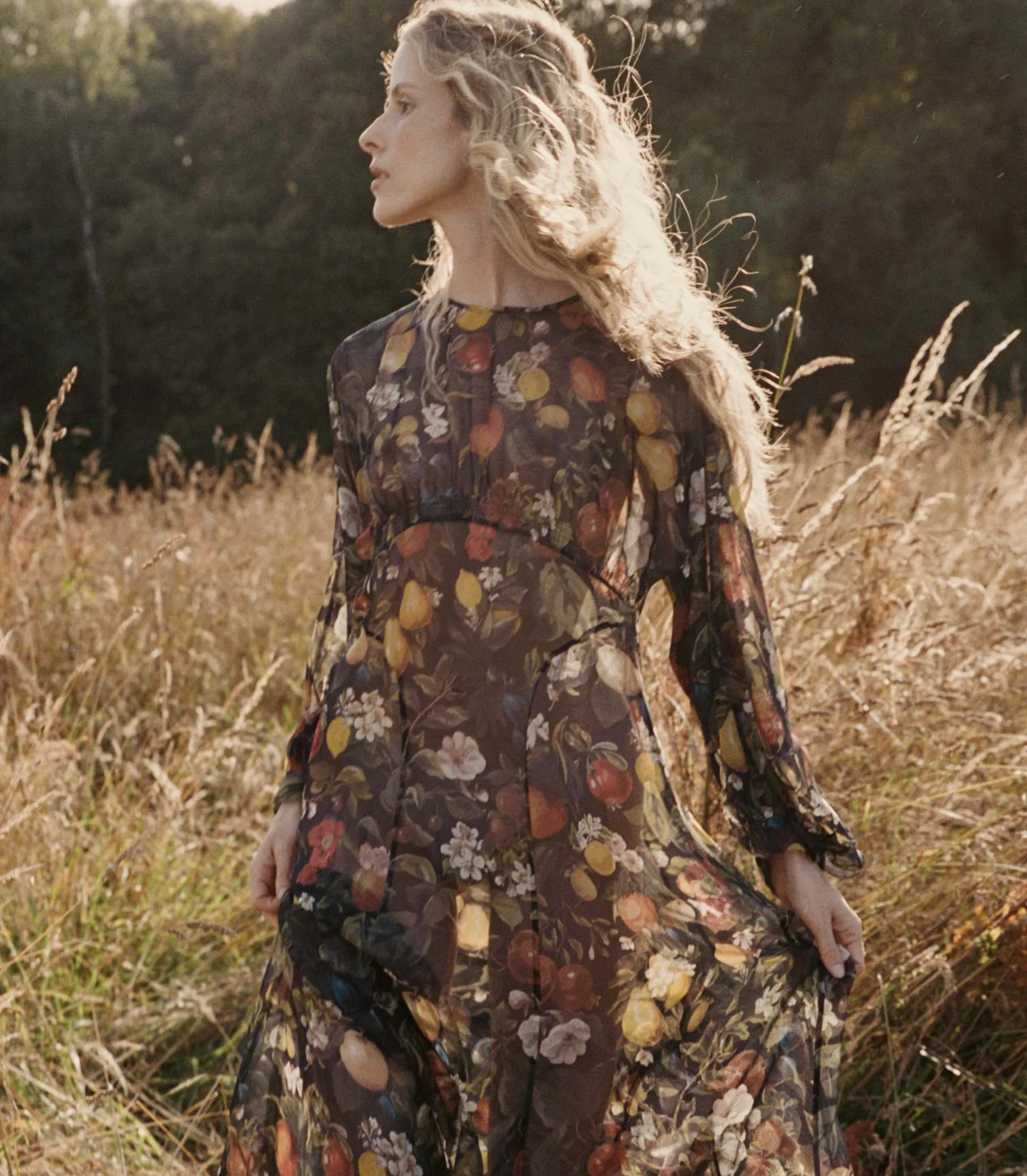HMD -- OLIANA DRESS -- ORCHARD HARVEST sold by Doen product image thumbnail 2
