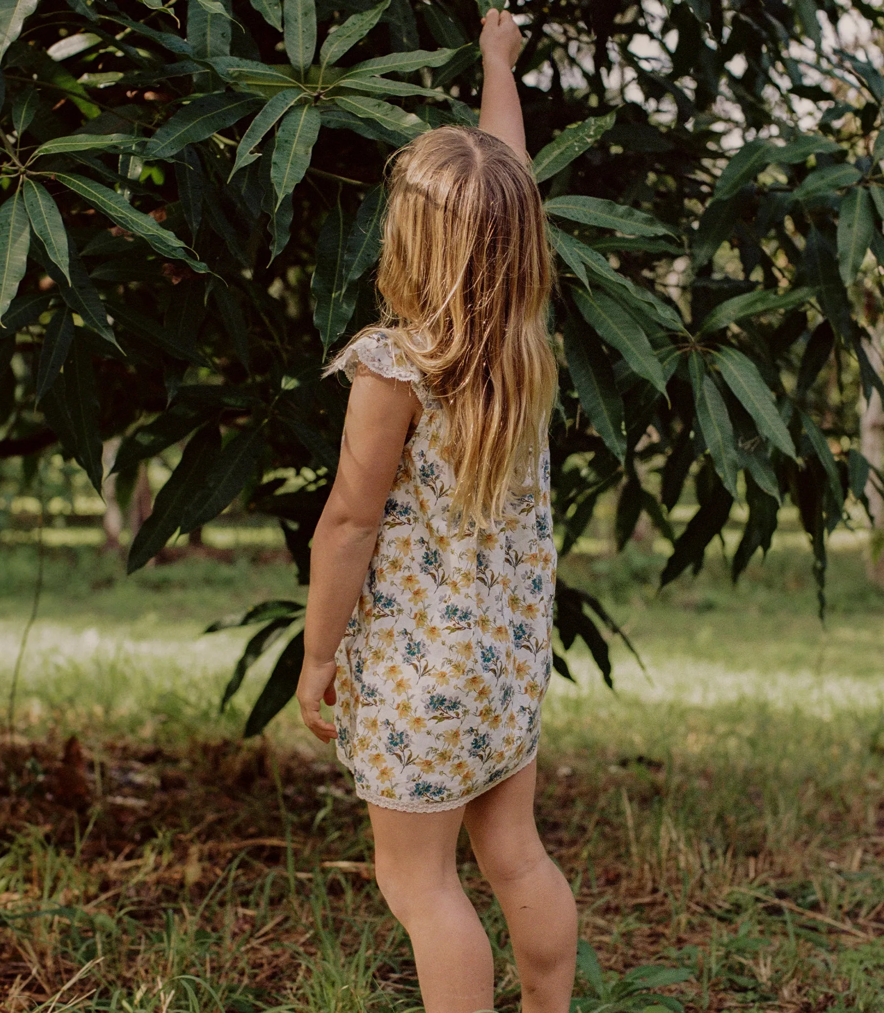 DESSA DRESS -- NARCISSUS BLOOM sold by Doen product image thumbnail 3