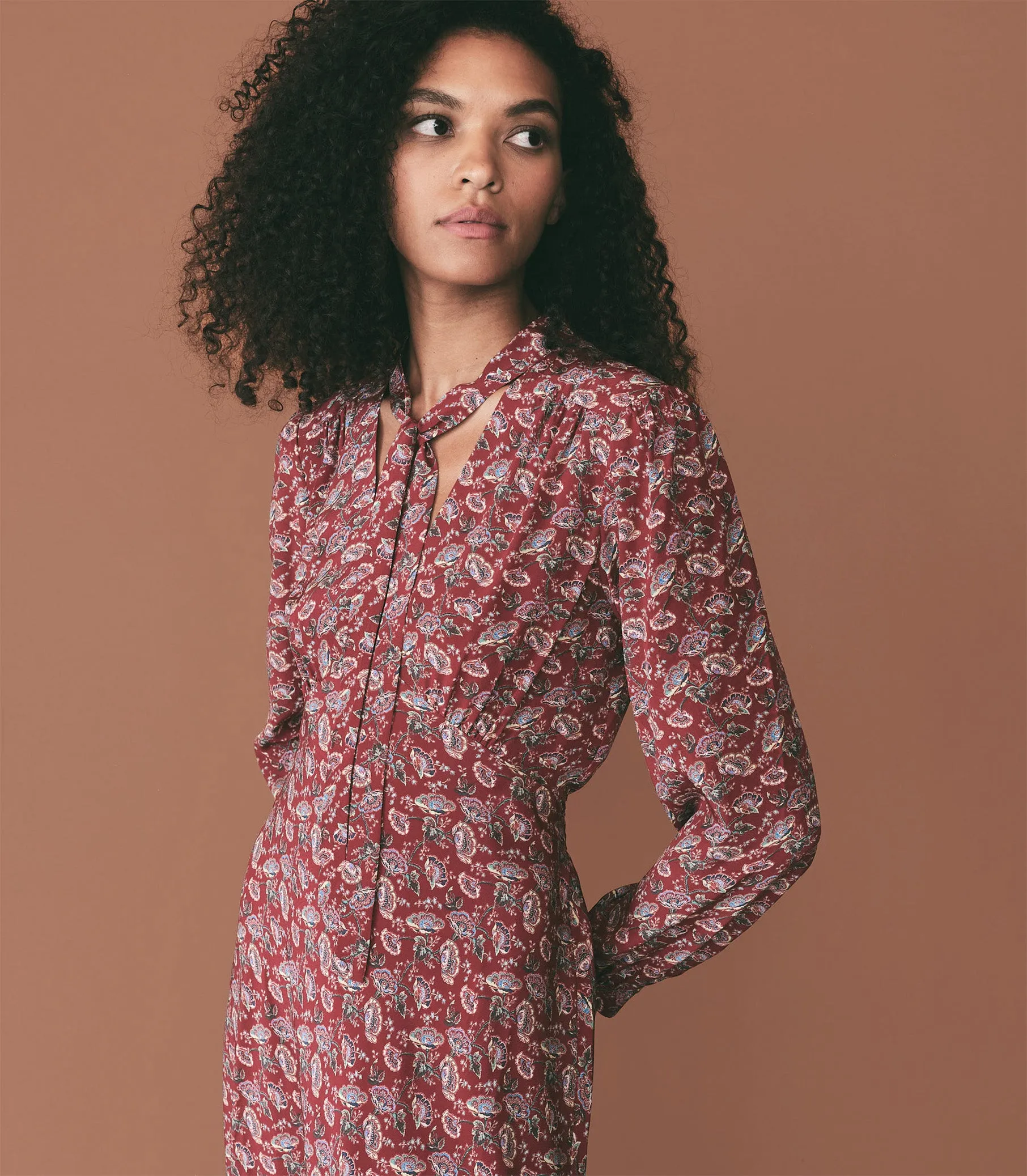 CHANSON DRESS -- GARNET ARBOR ROSE FLORAL sold by Doen product image thumbnail 4