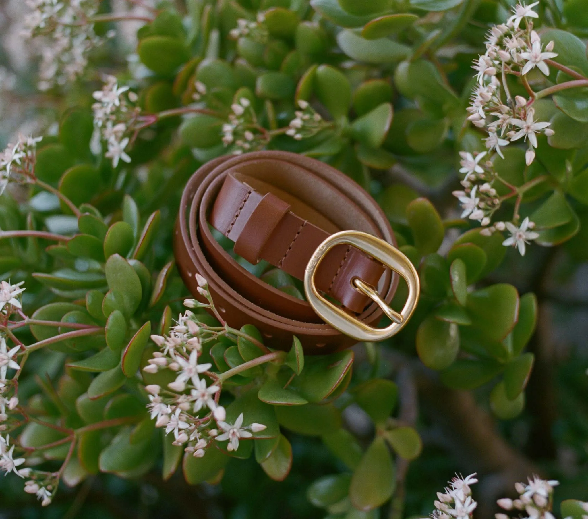 WYATT BELT -- BRANDY sold by Doen product image thumbnail 2