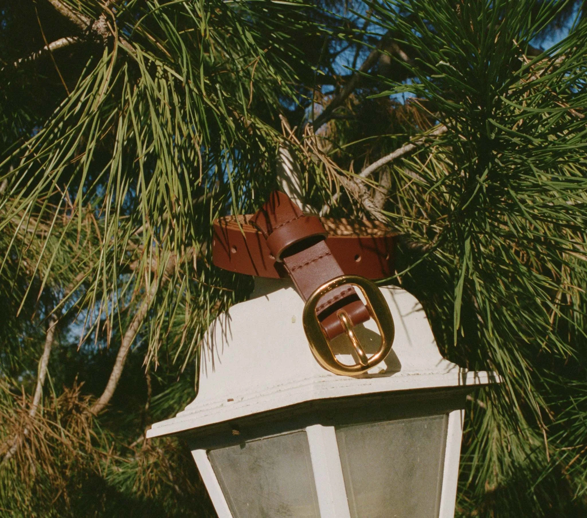 WYATT BELT -- BRANDY sold by Doen product image thumbnail 3