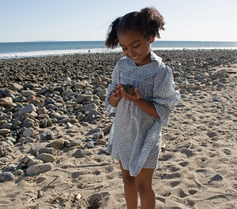 CARINE DRESS -- BLUEBELL HILLSIDE BLOOM sold by Doen