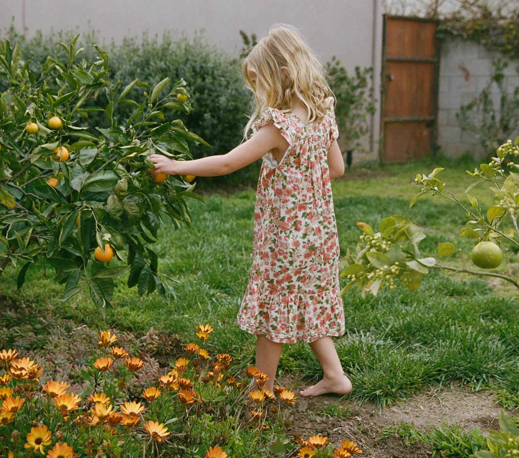 LILY DRESS -- LYDDEN GARDEN sold by Doen product image thumbnail 4
