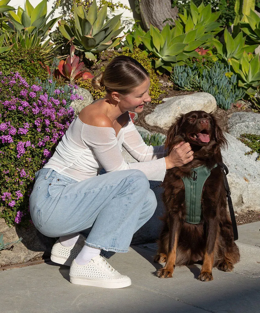 ZOLEN SNEAKERS WHITE PERFORATED LEATHER sold by Dolce Vita product image thumbnail 5