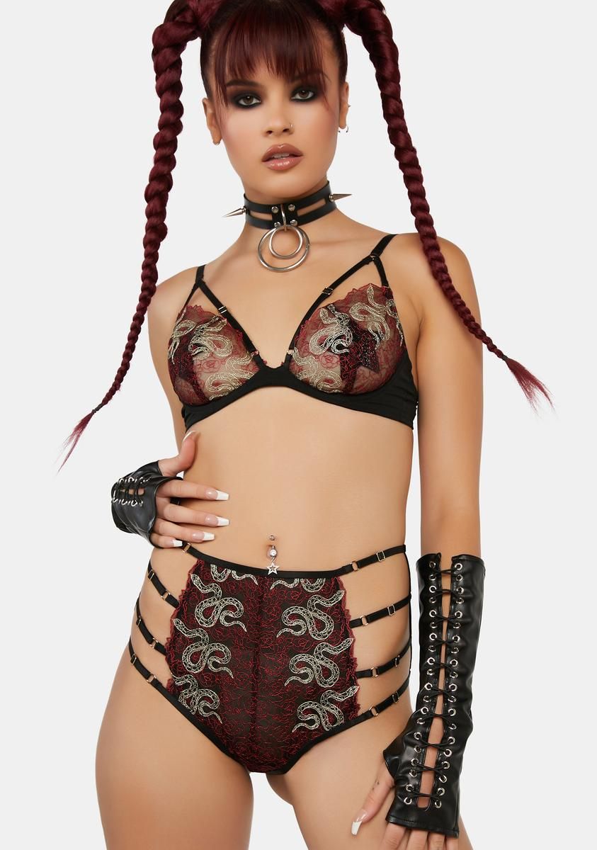 x Bettie Page Dakota Red Snake Embroidered High Waist Brief sold by Dolls Kill product image thumbnail 2