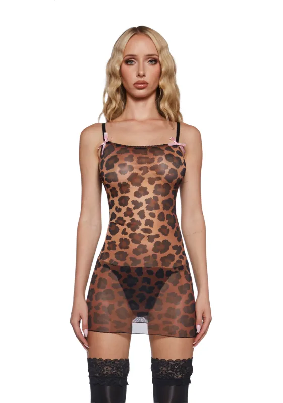 Get Wild Tonight Leopard Slip Dress sold by Dolls Kill