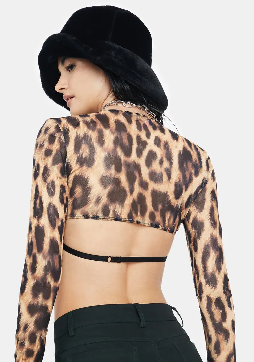 Keri Leopard Mesh Bra Top sold by Dolls Kill product image thumbnail 4
