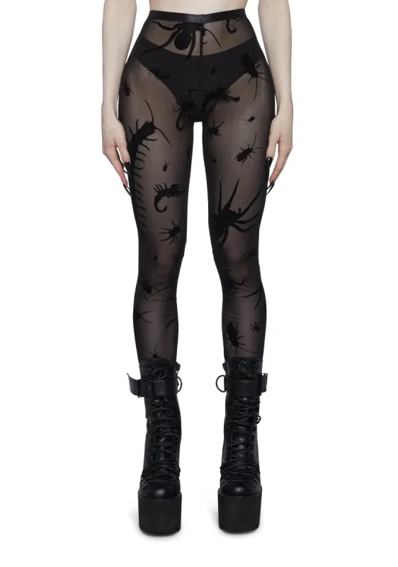 Spider’s Lair Mesh Leggings sold by Dolls Kill