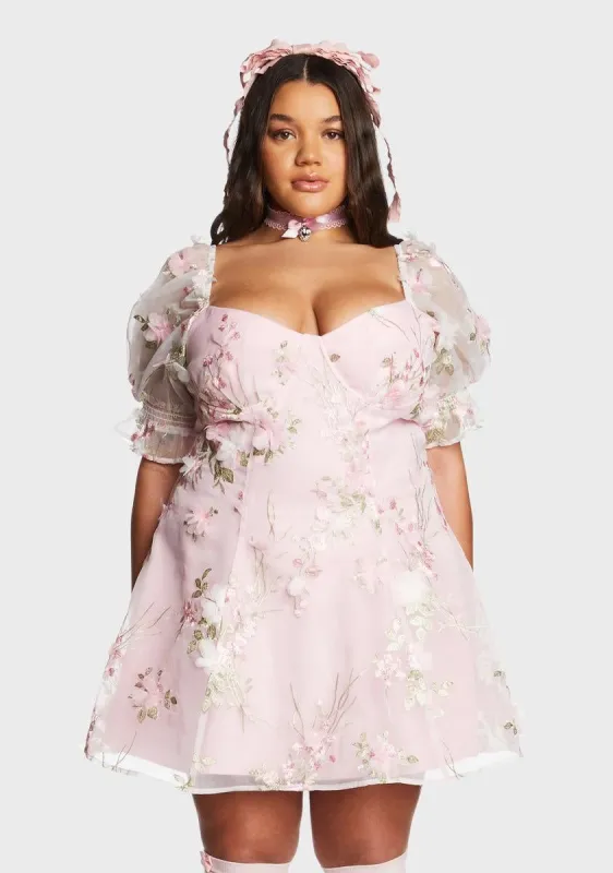 Plus Baby Sweetheart Portrait Mini Dress sold by Dolls Kill