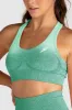 Ombre Seamless Crop - Green sold by DOYOUEVEN