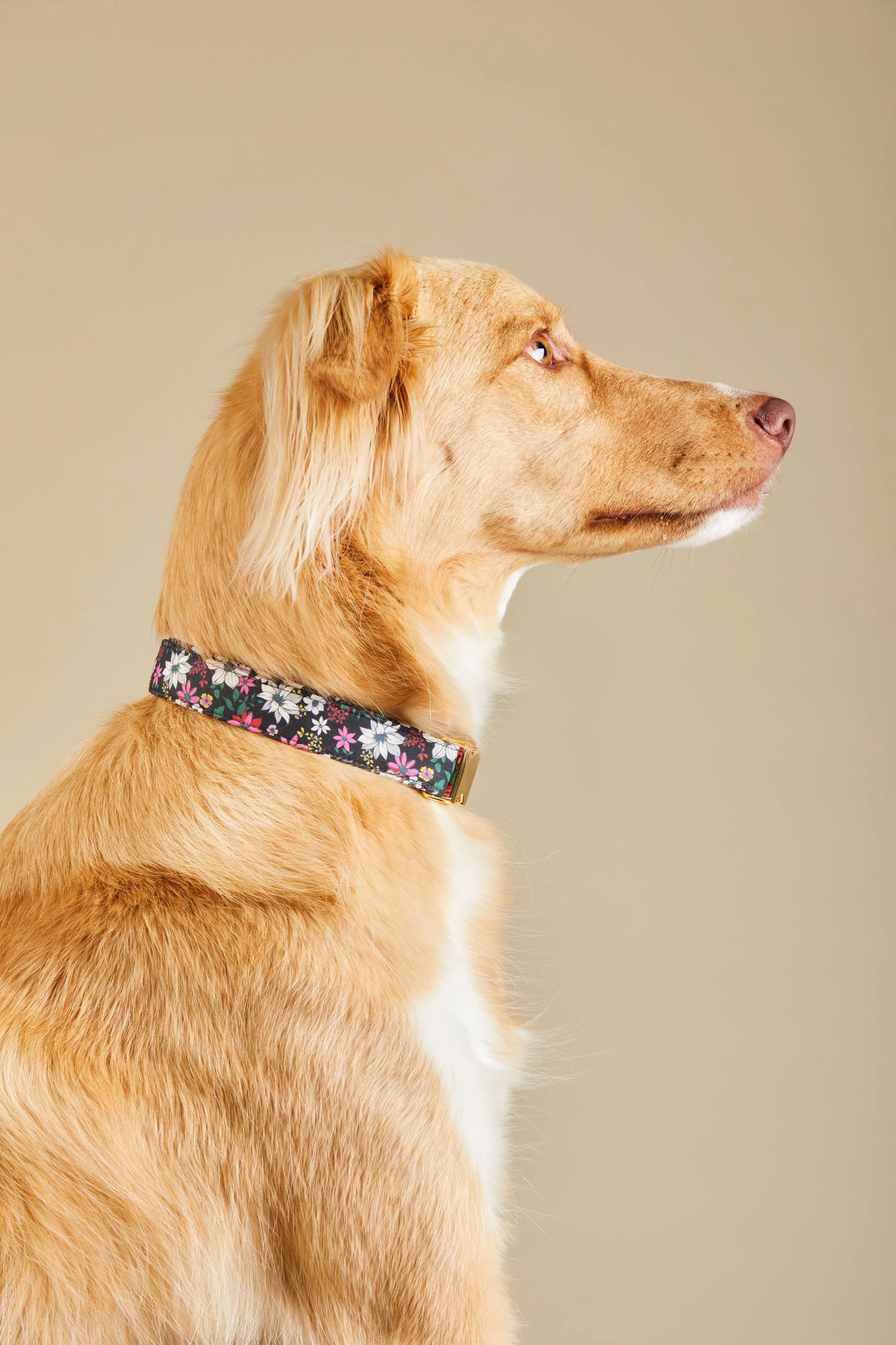 DJ x TFD Collar in Evening Floral sold by Draper James product image thumbnail 2