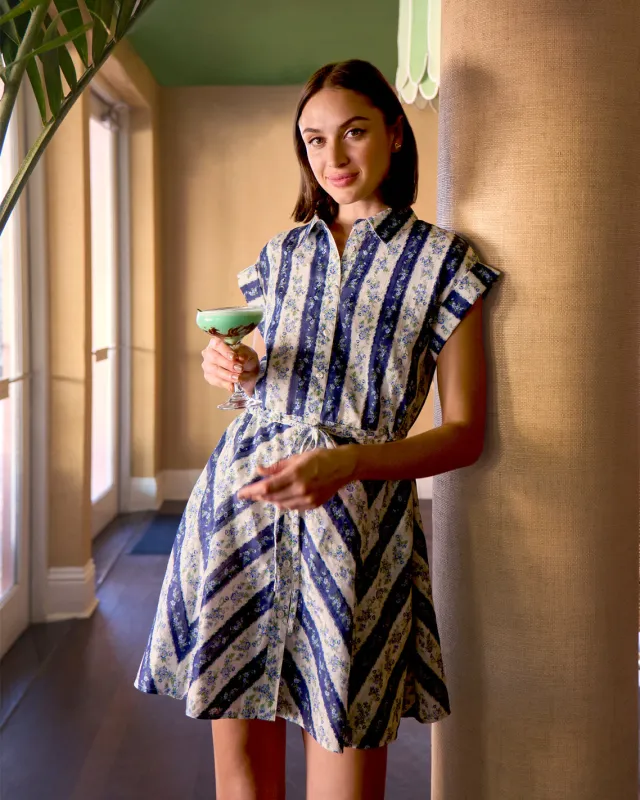 Phoebe Dress in Floral Stripe sold by Draper James