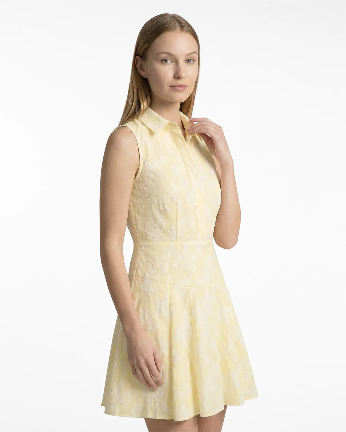 Brighton Mini Collared Dress in Striped Fil Coupe sold by Draper James product image thumbnail 4
