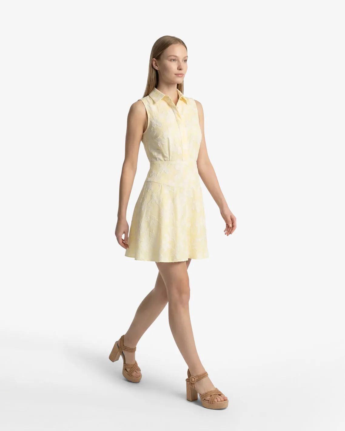 Brighton Mini Collared Dress in Striped Fil Coupe sold by Draper James product image thumbnail 3
