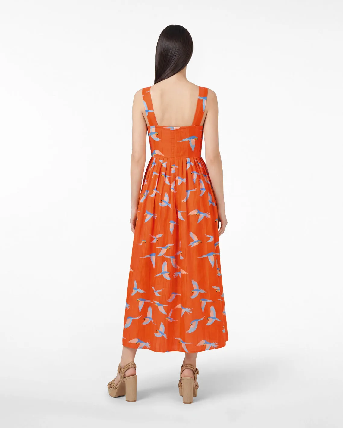 Esme Midi Dress in Parrot Print sold by Draper James product image thumbnail 3