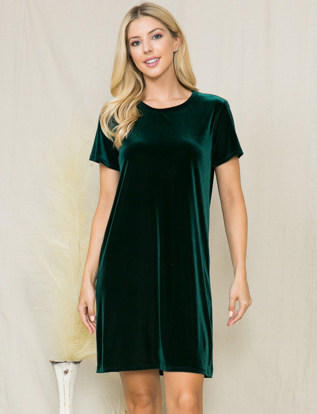Velvet Short Sleeve Mini Dress sold by Dress Barn