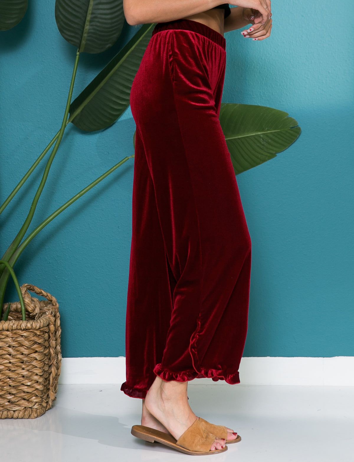 Comfy Velvet Ruffle Hem Pants - Plus sold by Dress Barn product image thumbnail 2