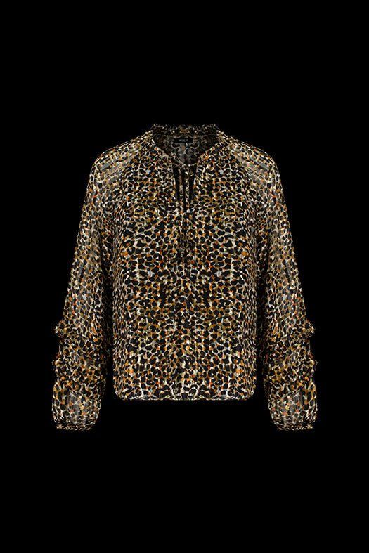 Deeluxe Morine Shirt sold by Dress Barn product image thumbnail 5