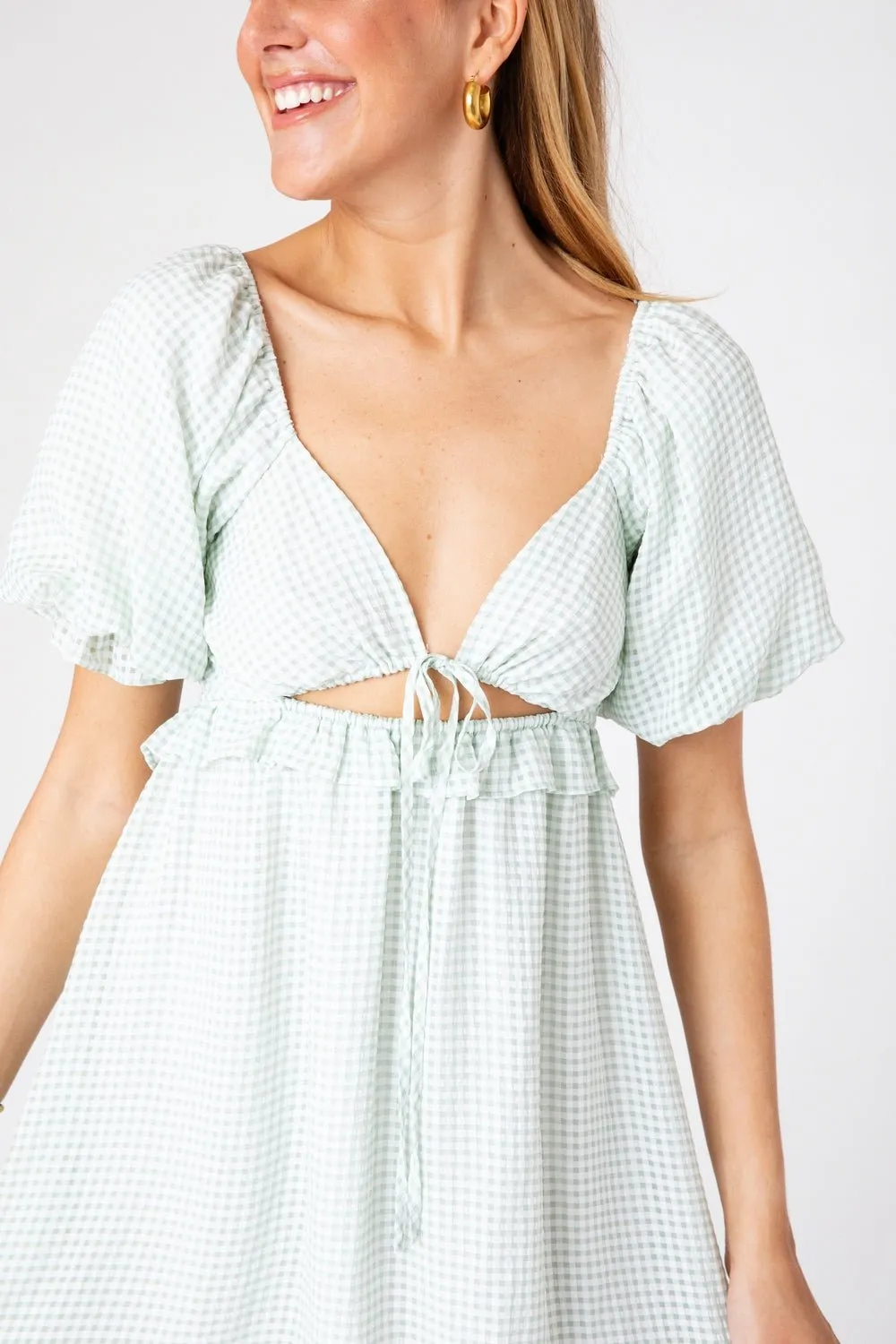 Gingham Garden Dress sold by Dress Barn product image thumbnail 4