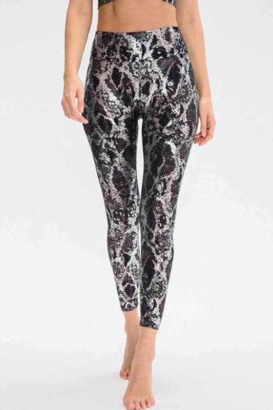 Animal Print Active Pants - Plus sold by Dress Barn