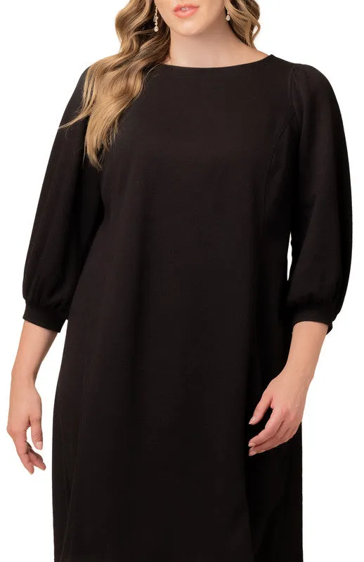 Madison Sweater Knit Shift Dress - Plus sold by Dress Barn product image thumbnail 3