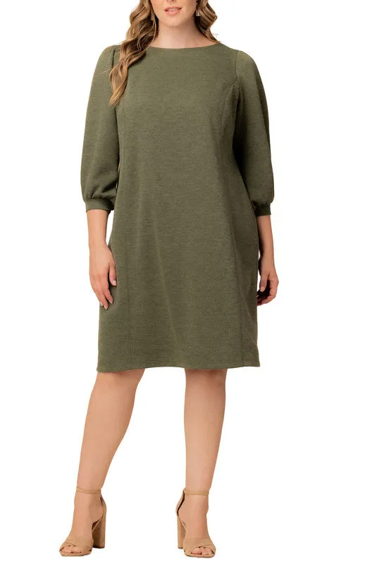 Madison Sweater Knit Shift Dress - Plus sold by Dress Barn product image thumbnail 4
