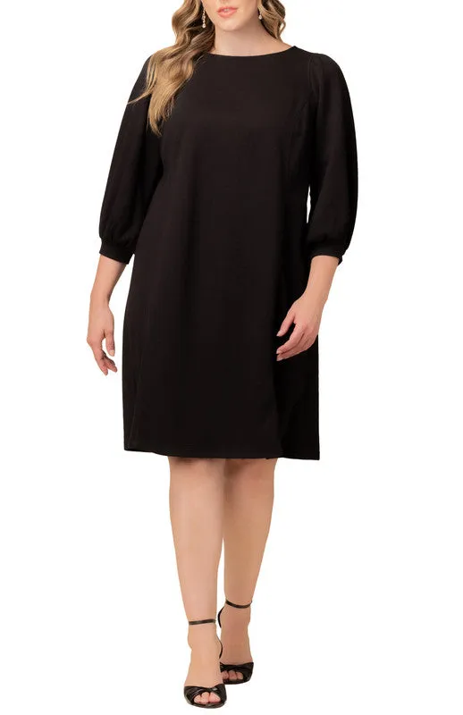 Madison Sweater Knit Shift Dress - Plus sold by Dress Barn