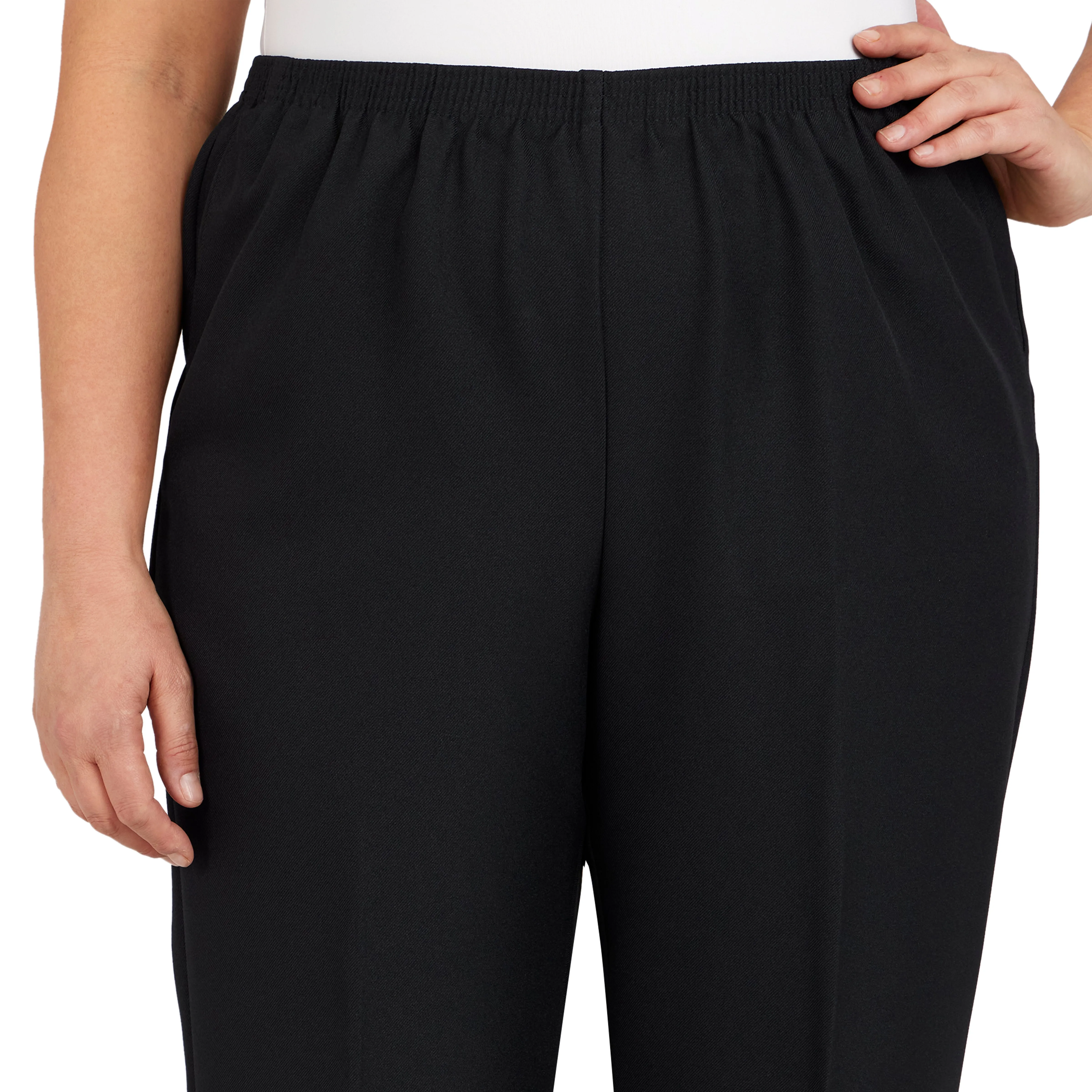 Alfred Dunner Classic Proportioned Pant Short Length, Plus sold by Dress Barn product image thumbnail 5