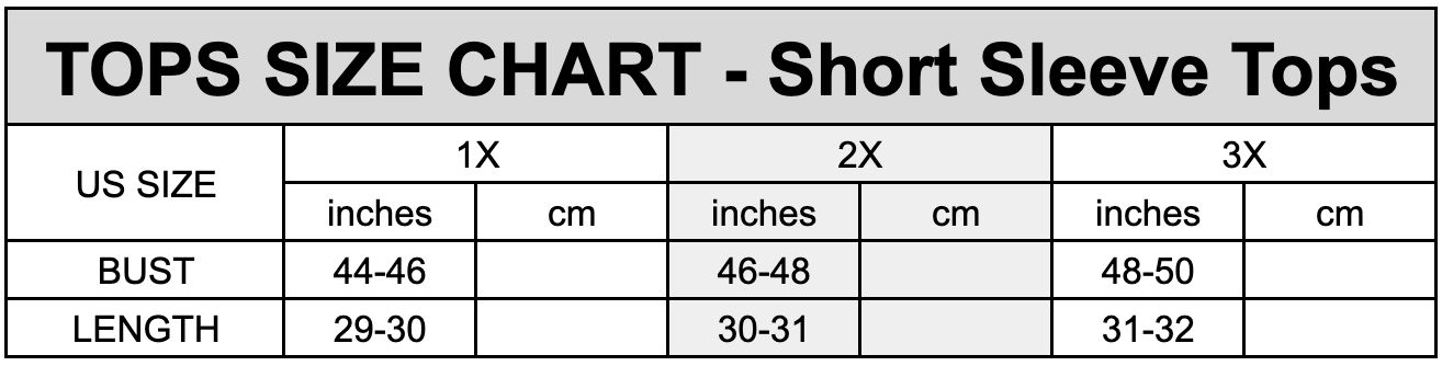 Ruffled Short Sleeve Textured Top - Plus sold by Dress Barn product image thumbnail 5