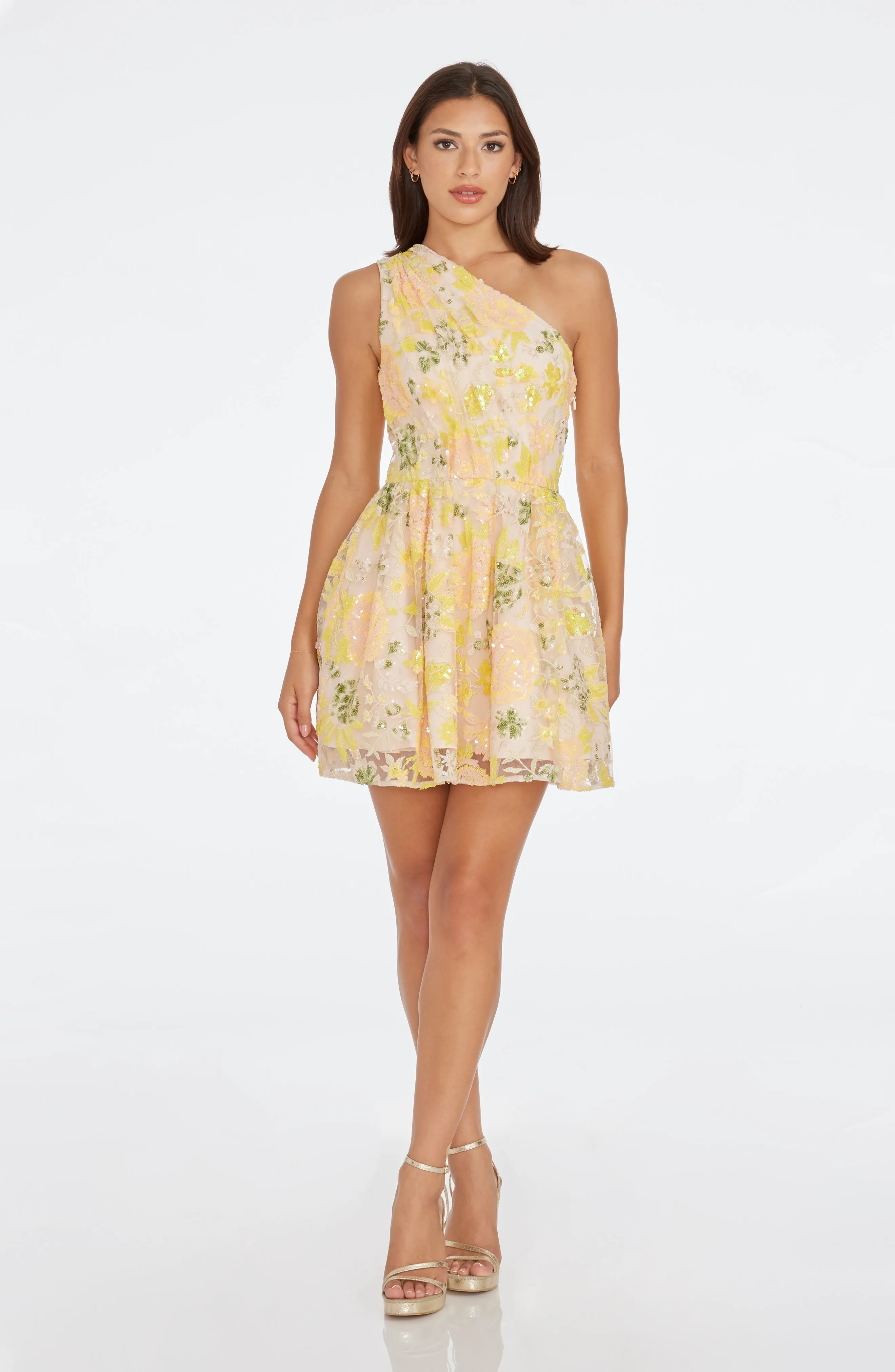 Delaney Dress sold by Dress the Population product image thumbnail 4