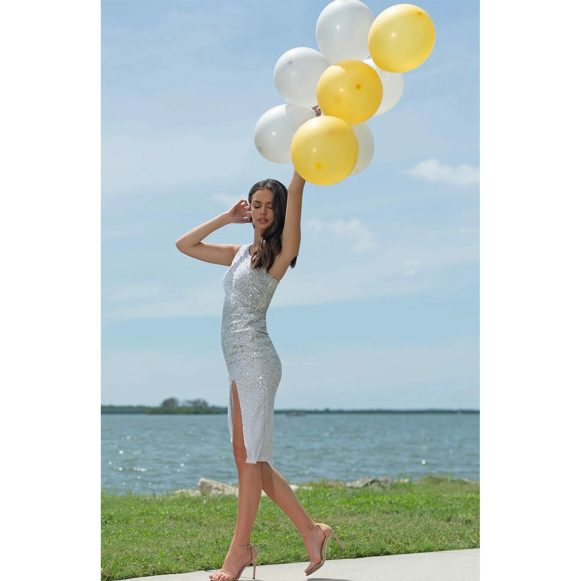 Palmer Dress sold by Dress the Population product image thumbnail 4