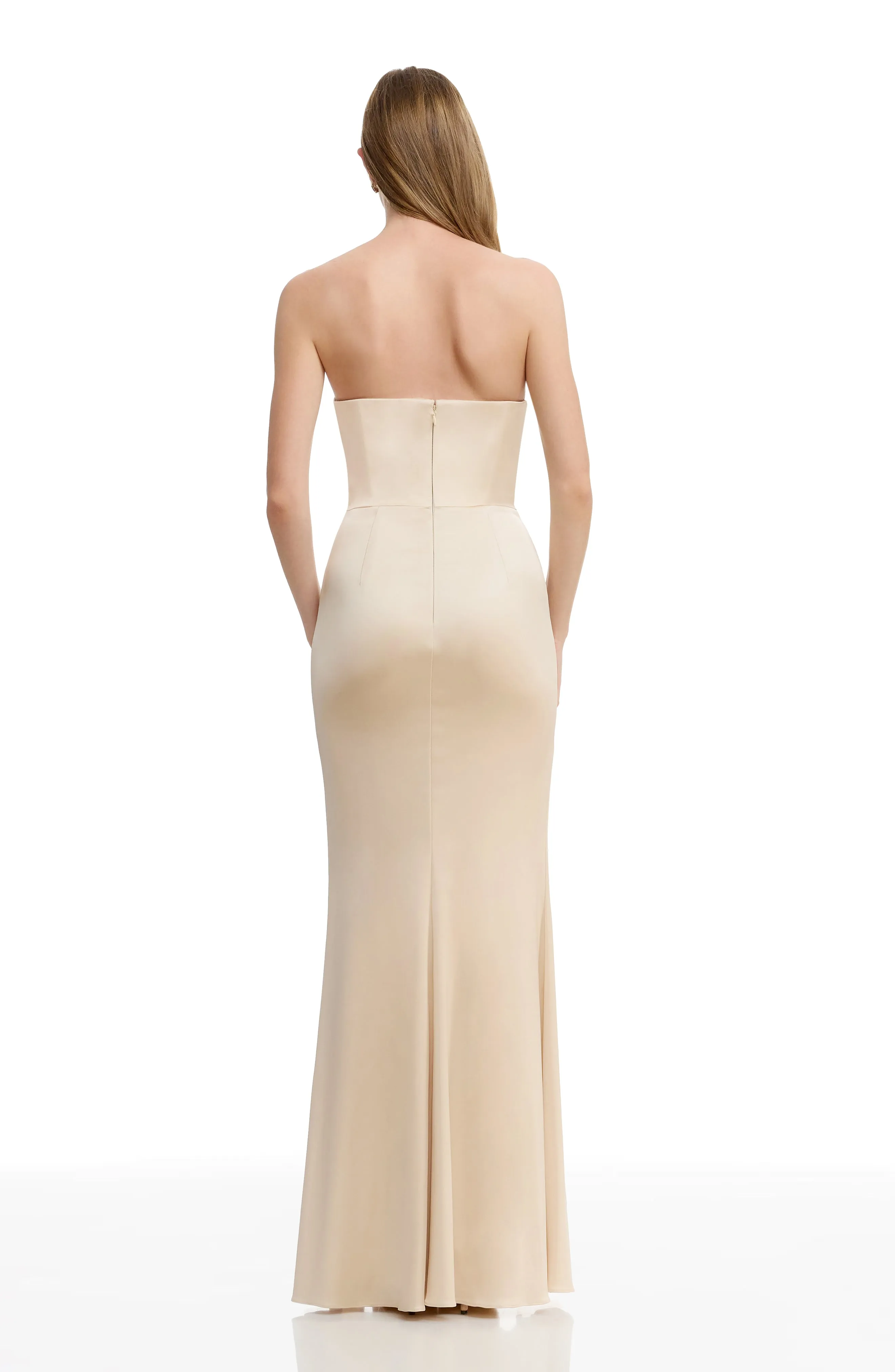 Fernanda Gown sold by Dress the Population product image thumbnail 4
