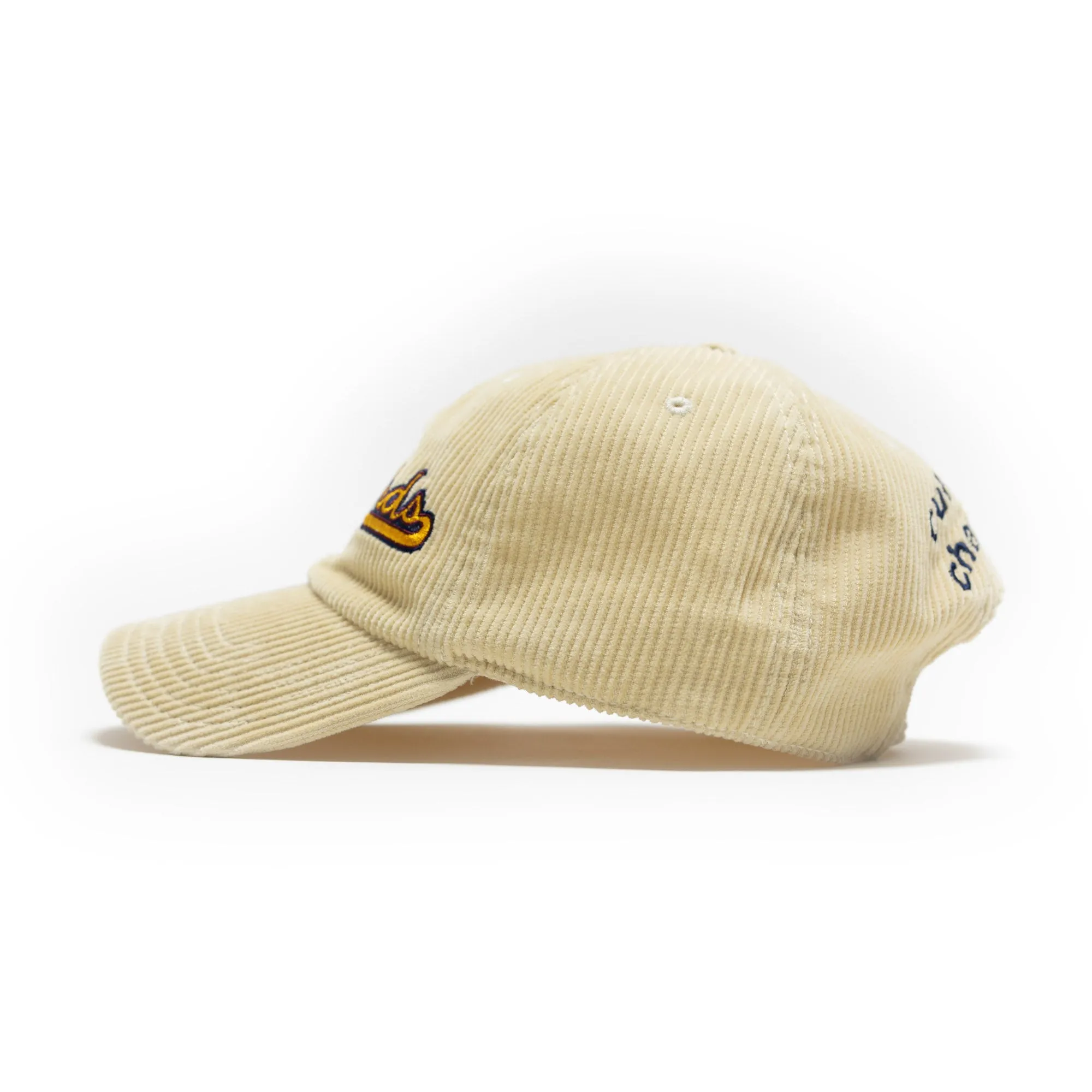 hummingbirds corduroy dad hat - biscotti sold by DREW product image thumbnail 3