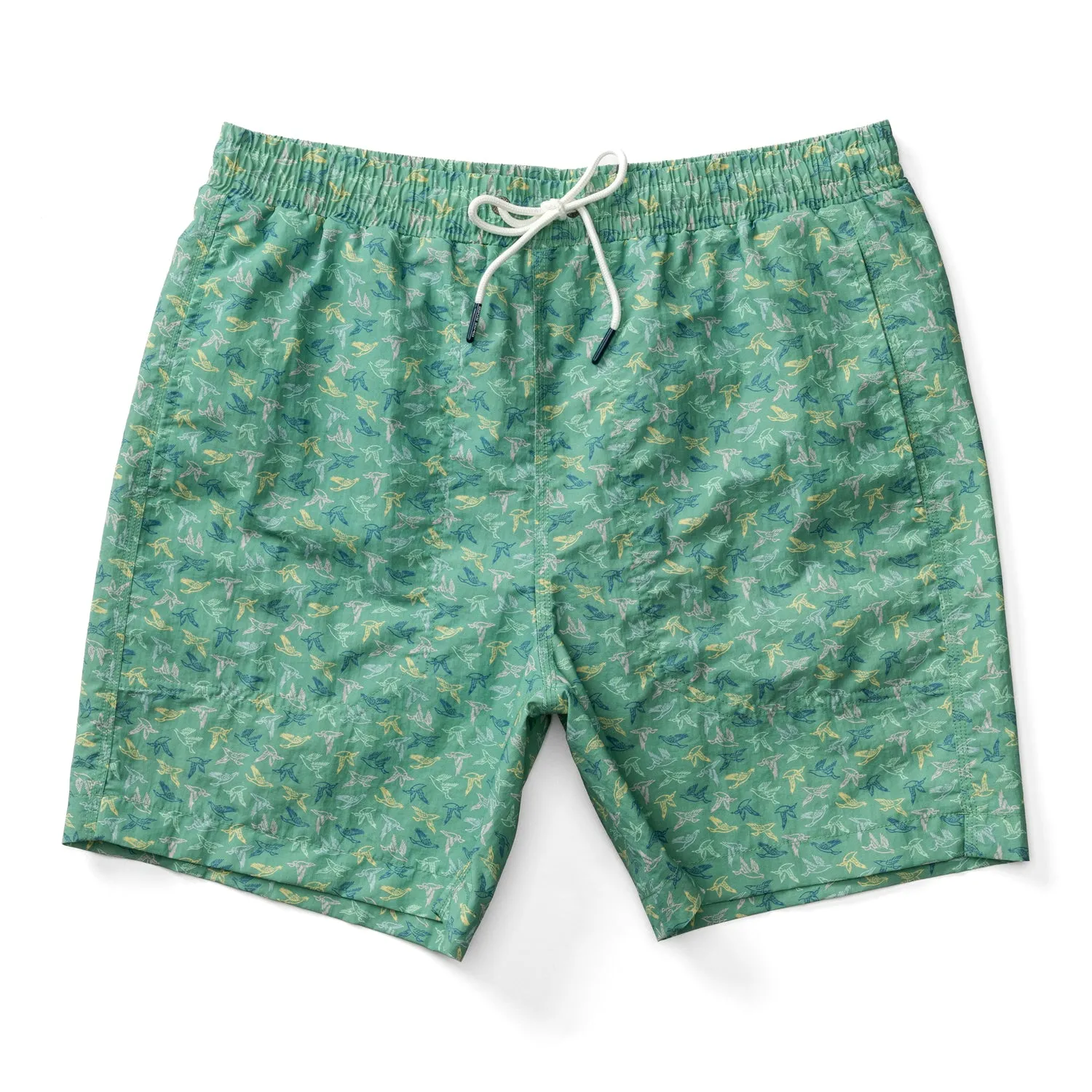 6" Sailport Swim Short - Aspen Green sold by Duck Head product image thumbnail 4