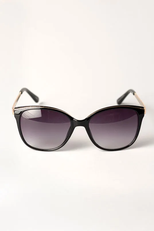 Pantos Sunglassses with Metal Trim and Arms sold by Eclipse