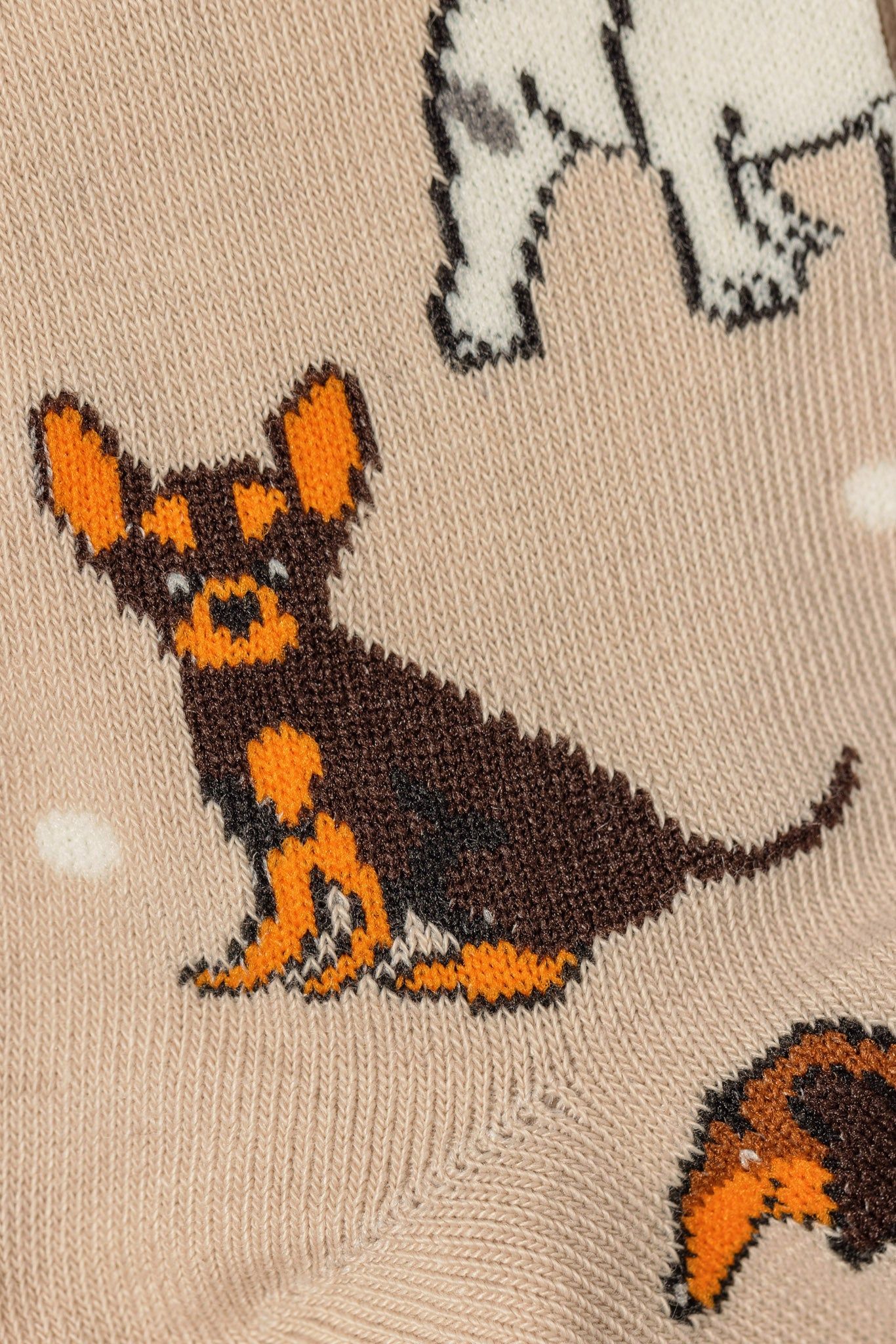 Multi Dog Socks sold by Eclipse product image thumbnail 4