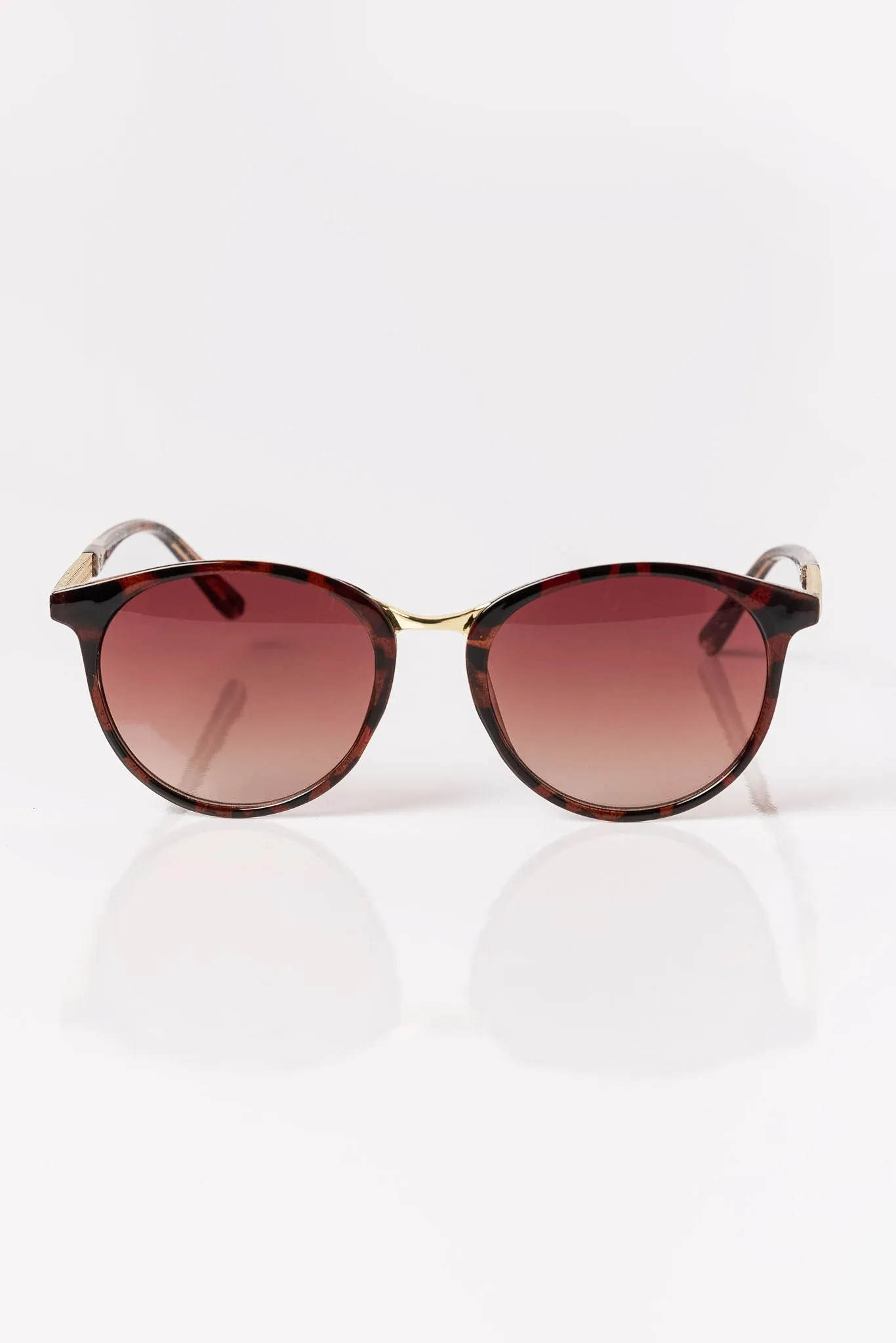 Rounded Plastic Sunglasses with Metal Trim sold by Eclipse