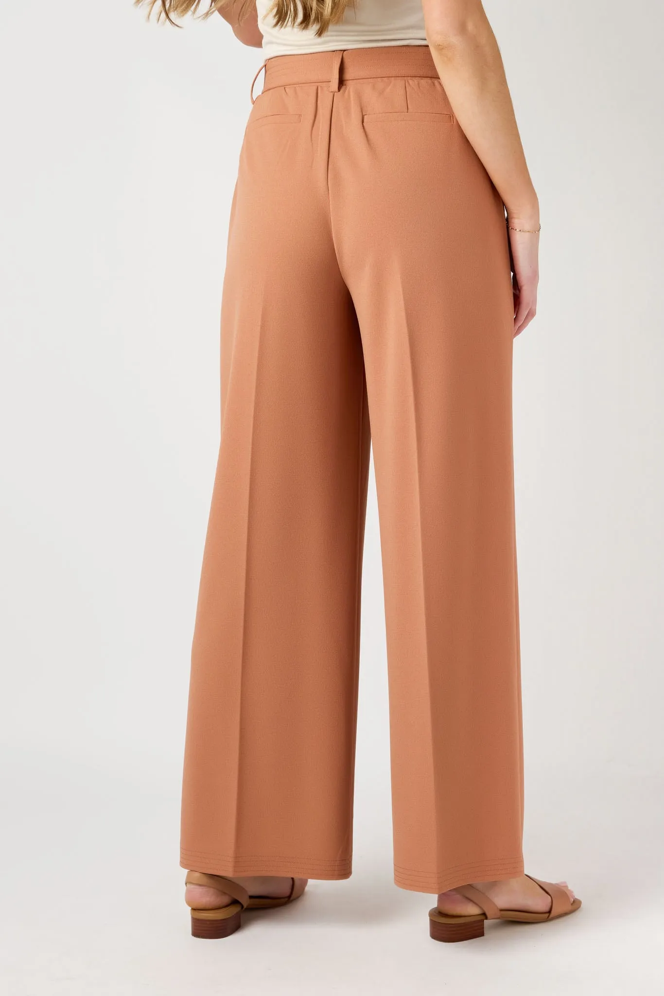 Knit Crepe Wide-Leg Pant with D-Ring Belt sold by Eclipse product image thumbnail 2