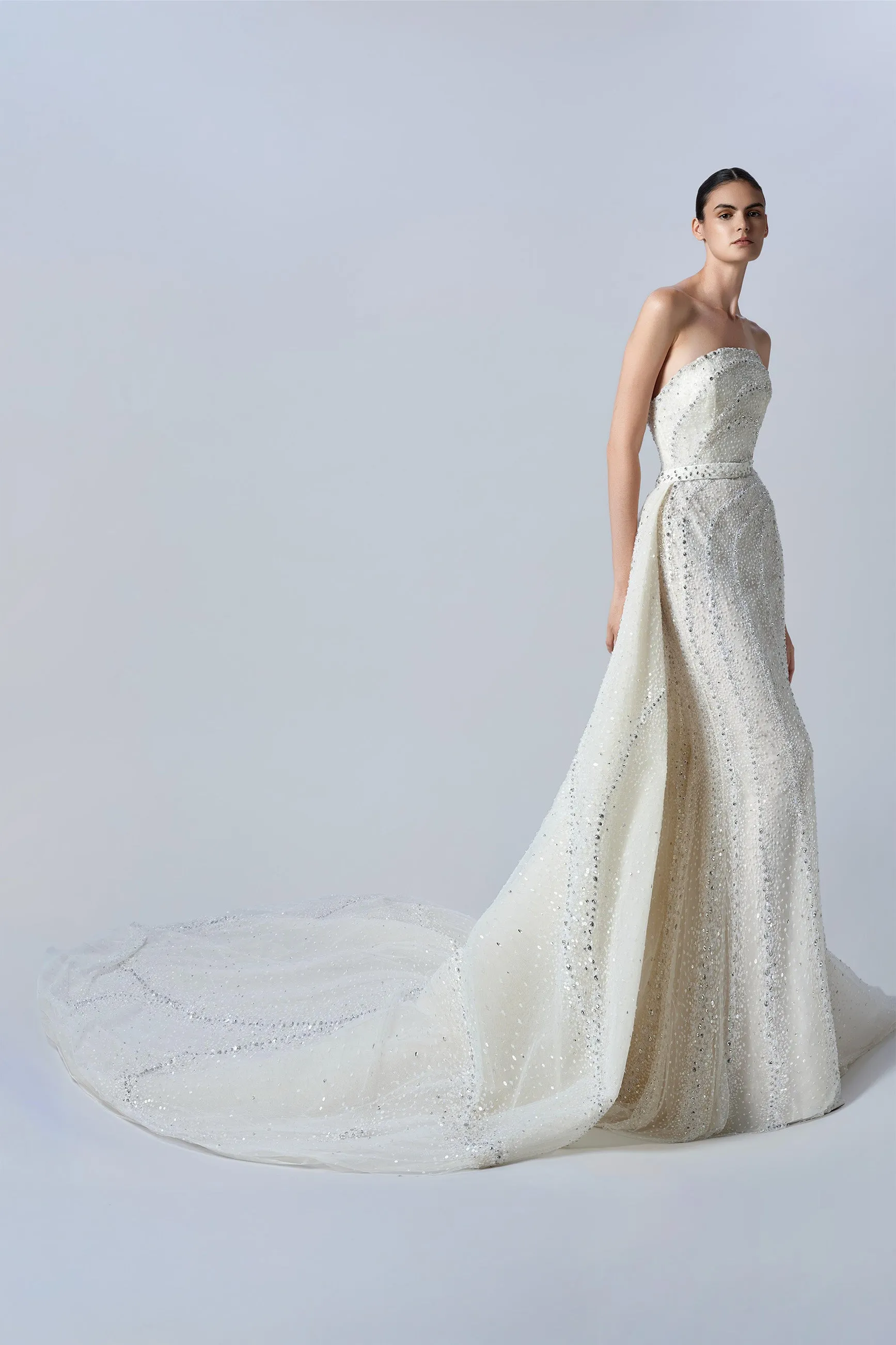 LOOK 4 sold by Elie Saab product image thumbnail 5