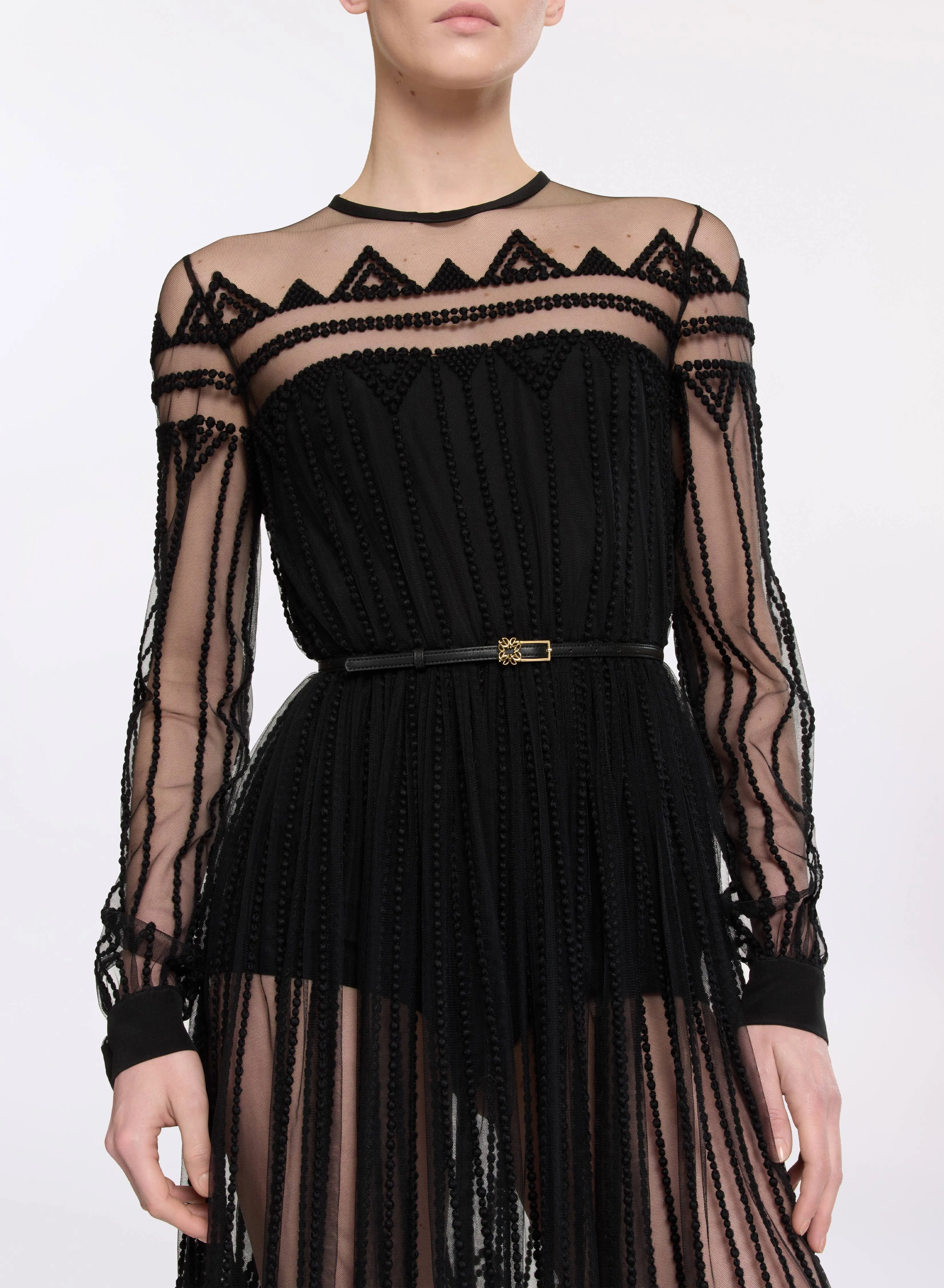 Embroidered Tulle Midi Dress sold by Elie Saab product image thumbnail 5