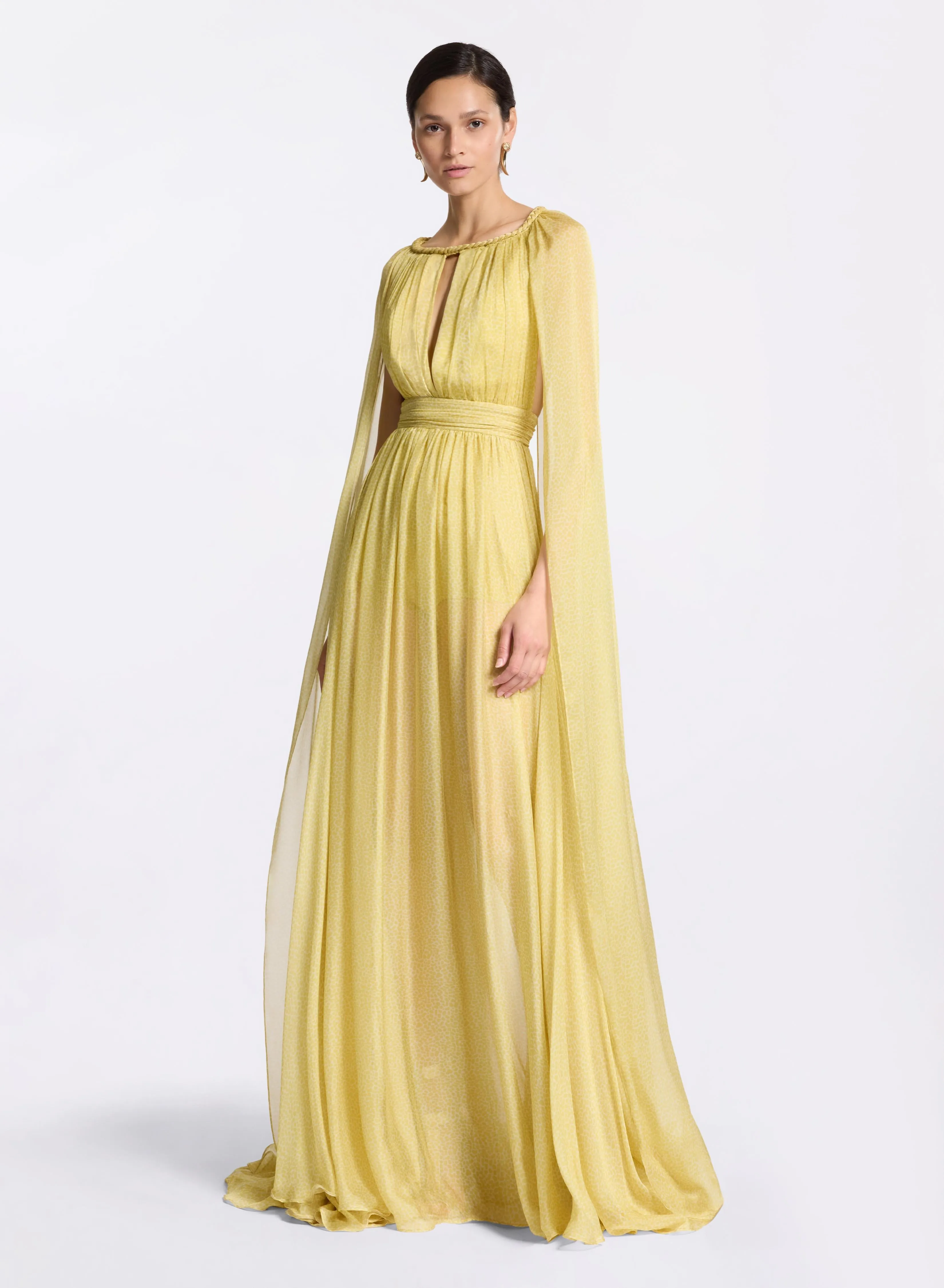 Printed Silk Long Dress sold by Elie Saab